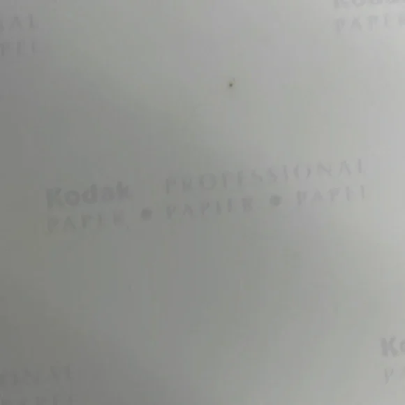 Framed owl photograph original 11” by 14” Art